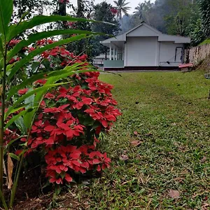 M3 Homes Munnar