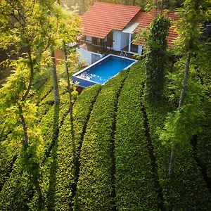 Tealawn Pool Villa, Munnar