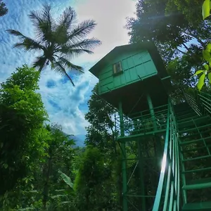 The Wayside Munnar